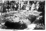 Grb onierzy polskich na cmentarzu w parafialnym - 1940 r. (rdo: http://dawneglowno.webpark.pl/phot11.htm)
