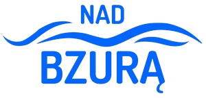 nad bzura