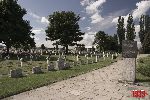 Sochaczew - Trojanw, cmentarz wojenny (fot. . Wojtczak)