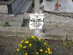 Oporów, grób rodzinny (1). Stan z dn. 26. 09. 2010 r. (fot. Alfred Nowiński).