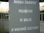 Głogowiec, mogiła zbiorowa. Stan z dn. 20. 09. 2011 r. (fot. Witold Rapsiewicz).