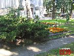 Warszawa, ul. Wolska 140, kwatera wojenna - Warszawa, ul. Wolska 140, kwatera wojenna. Stan z dn. 26 sierpnia 2016 r. (fot. Tomasz Karolak).