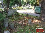 Warszawa, ul. Mynarska, grb rodzinny (2) - Warszawa, ul. Mynarska, grb rodzinny (2). Stan z dn. 13 wrzenia 2016 r. (fot. Tomasz Karolak).