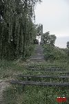 ladw, obelisk w miejscu zbrodni hitlerowskiej na onierzach Wojska Polskiego i ludnoci cywilnej (fot. . Wojtczak).