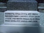 Nowy Duninw, Grb-Obelisk ku Czci Walczcych o Woln Polsk. Stan z dn. 05. 08. 2008 r. (fot. Zbigniew Adamas).