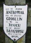 Kan. Janicki upamitniony na imiennej tablicy epitafijnej na jednej z mogi zbiorowych kwatery wojennej na cm. parafialnym w Juliopolu. Stan z dn. 18. 12. 2004 r. (fot. Marcin Prengowski).