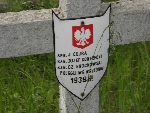 Jzef Kanarecki upamitniony (jako Jzef Konarecki) na imiennej tabliczce epitafijnej na jednej z mogi zbiorowych cmentarza wojennego w Laskach, Stan z dn. 26 maja 2010 r. (fot. Leszek Gach).