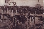 A. Kocielny z kolegami z KOP - budowa mostu w Wooynie w 1932 r.