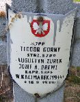 Teodor Grny, upamitniony na imiennej tablicy epitafijnej na kwaterze wojennej na cmentarzu rzymskokatolickim w Rybnie. Stan z 2005r.