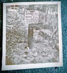 Zenon Krzywi�ski upami�tniony na tabliczce epitafijnej na pierwotnej mogile wojennej na cmentarzu parafii pw. sw. Wawrzy�ca w Sochaczewie, ul. Traugutta (fot. ze zb. rodzinnych).