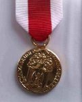 Medal "Za zasugi dla obronnoci kraju" przyznany w dniu 25 padziernika 2011 r. przez Ministra Obrony Narodowej Reginie Bednarskiej, wdowie po Bronisawie Bednarskim (dok. ze zb. rodzinnych).