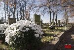 Kompina, cmentarz wojenny (fot. Ł. Wojtczak)