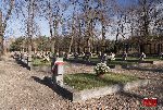 owicz, ul. Listopadowa, cmentarz wojenny (fot. . Wojtczak)