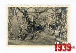 Zniszczenia wojenne 1939 - most na Bzurze w Sochaczewie (fot. ze zbiorw Andrzeja Kornackiego).