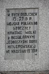 Borzymie, pomnik. Stan z dn. 21. 03. 2012 r. (fot. Jacek Kopiski).